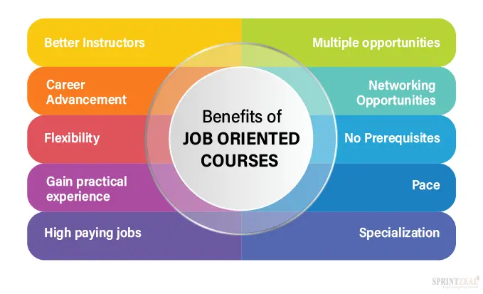 Explore Top Career Opportunities After Completing a BA Degree
