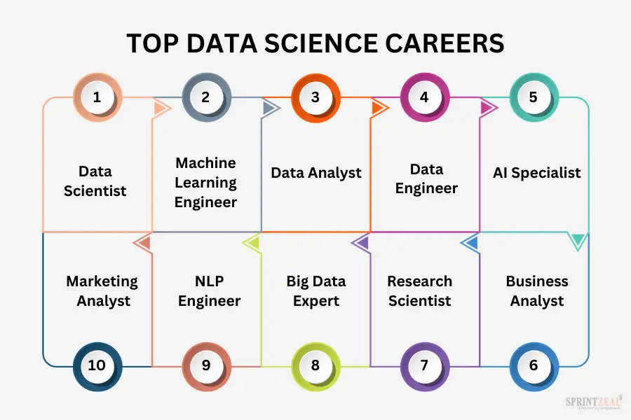 How to Build a Career in Data Science