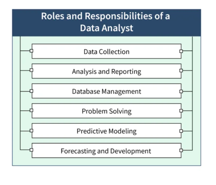 Data Analyst Responsibilities