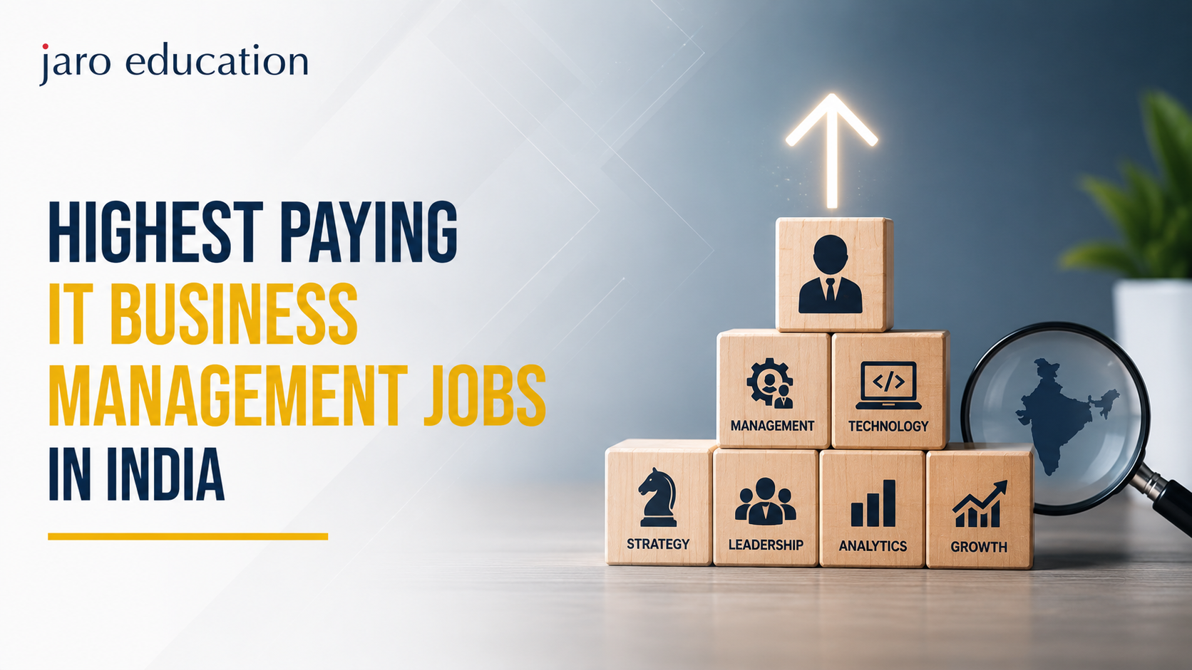 Highest Paying IT Business
