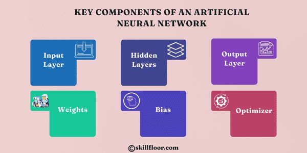 Key Components of Artificial Neural Networks 