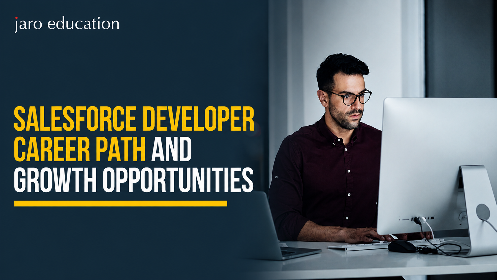Salesforce Developer Career