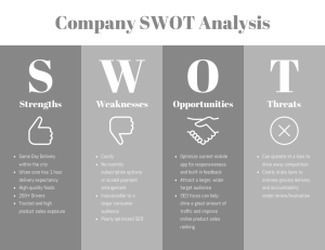 Company SWOT Analysis