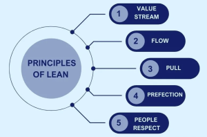 Principles of Lean Management
