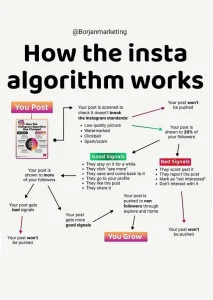 insta algorithm
