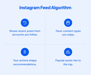 Instagram Feed Algorithm