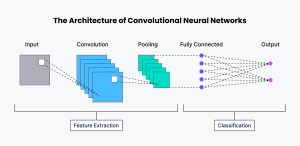 neural network