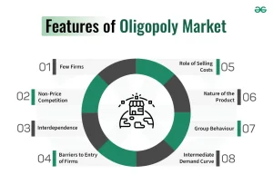 Oligopoly Market Features