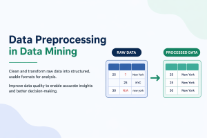 Data Preprocessing in Data Mining 