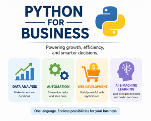Python for Business