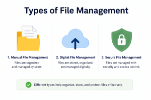 Types of file management 