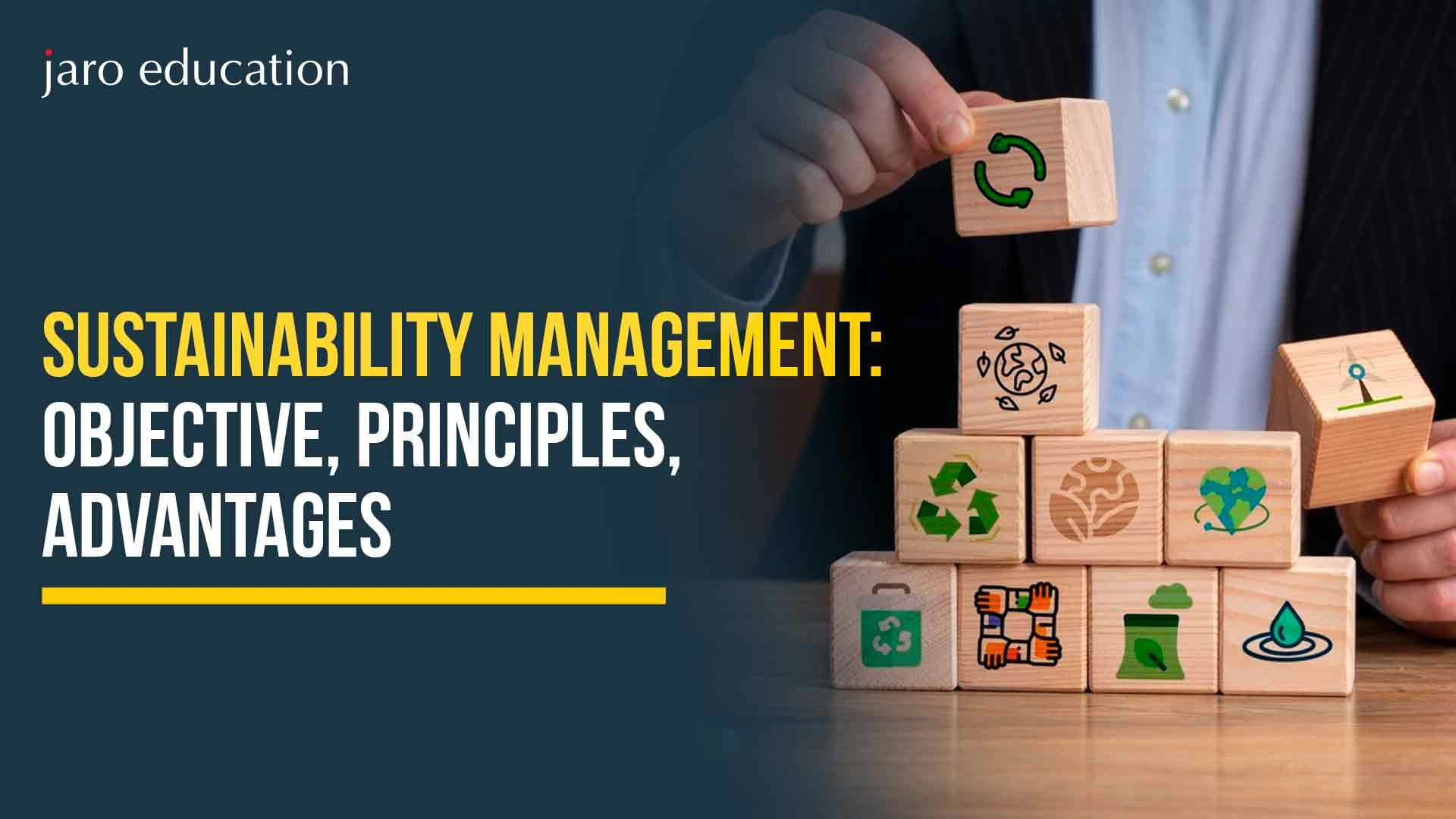 Sustainable Management: Meaning, Principles, Objectives and Advantages